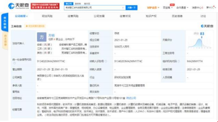 科大訊飛蕪湖設立新公司，拓展科技與房產中介服務