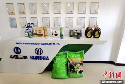 科技賦能長江生態修復 岸上綠意盎然，水中碧波重現