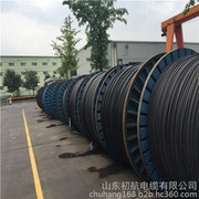 架空電纜與高壓架空線 市場行情、優質廠家與產品圖鑒