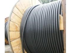 VV22輕鎧裝電力電纜在電力系統中的應用與漳州市場概述